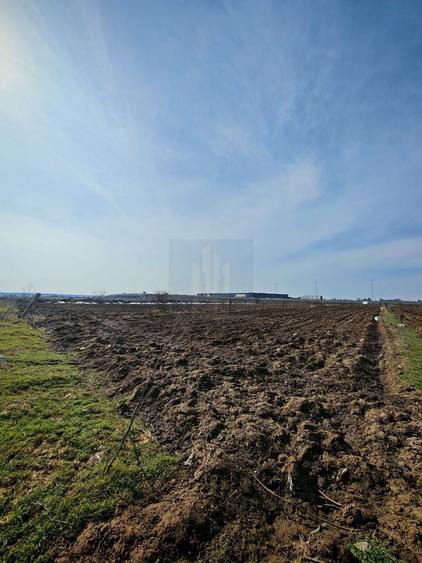 Teren de Vanzare Industrial Caciulati A3 - 9