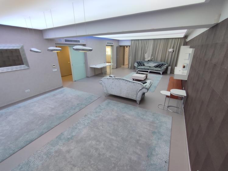 Vilă elegantă de închiriat în Colentina – Sportului, complet mobilată și utilată - 2