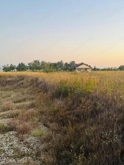 AV655 Teren-Balta 6.663mp, in Masloc-Alios, IDEAL INVESTITIE - 10