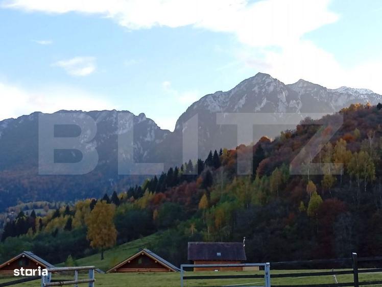 Teren zona Plaiu Foii - 1