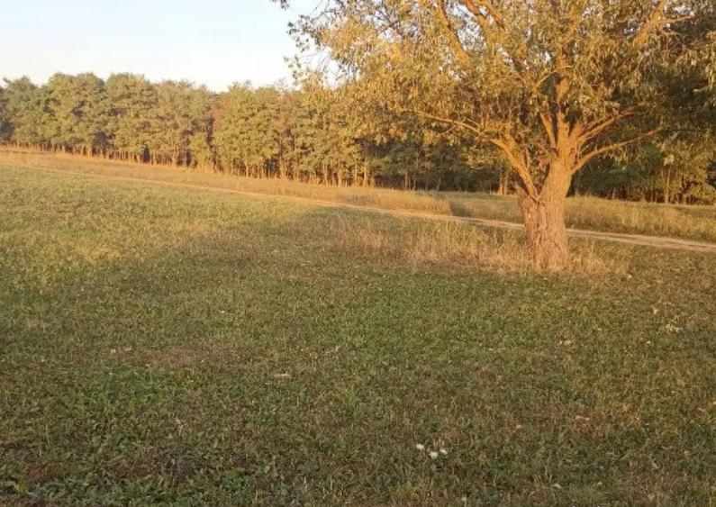 De vanzare teren extravilan langa Arcus - 4