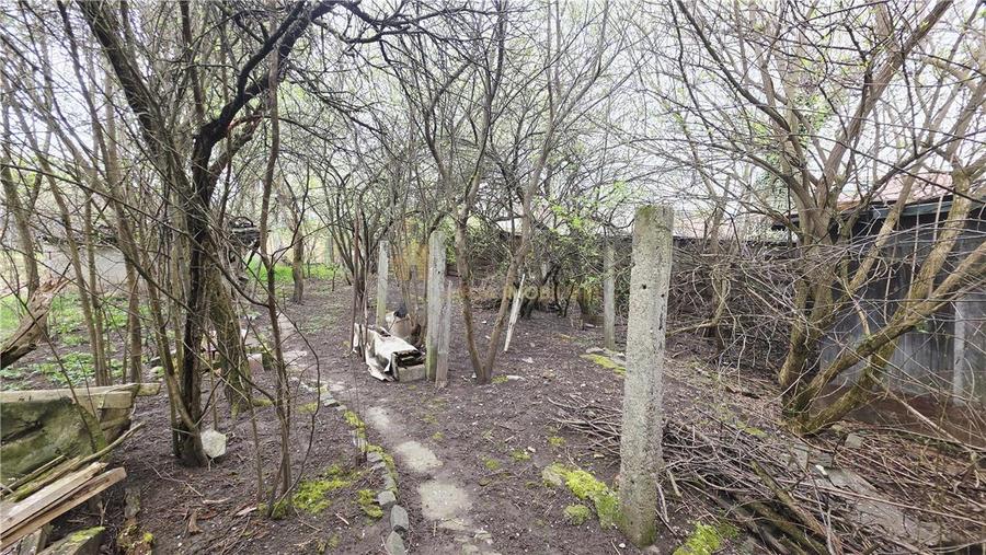 CASA 136 MP TEREN 561 MP FRONT 14 ML ZORILOR  MARINESCU - 5