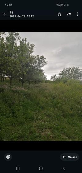 Vand Teren intravilan Chinteni - Padureni 2000 mp - 1