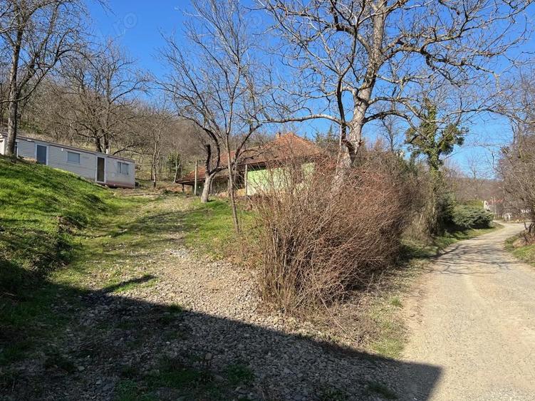 Vand casa cu teren ?i livada in Seini, cu priveli?te de poveste - 9