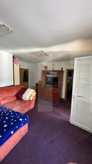 Casa cu teren generos, zona Intim Arad Ideal rezidential/comercial/service - 9