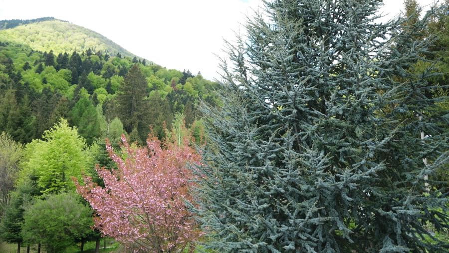 Vanzare 2 vile noi, mari superbe si 1905 mp teren la munte in Cheia Prahova - 26