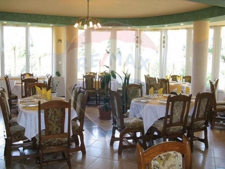 DE VANZARE Pensiune cu piscina, pastravarie, zona spa locatie de vis - 19