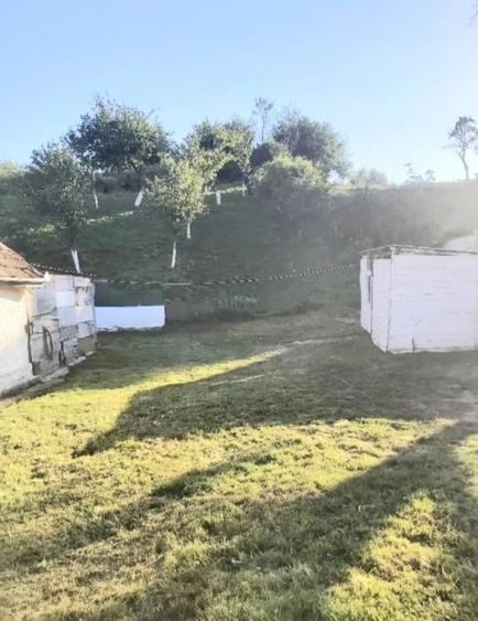 Teren intravilan de vanzare, in satul Gheorghieni! - 6