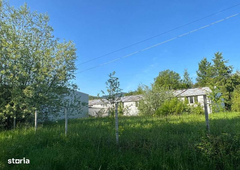 Hale industriale cu teren in Parcul Industrial Zarne?ti, jud. Bra?ov - 7