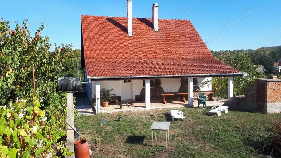 Casa mare de familie + casa secundara, teren 5500 m2 , 300 pomi Oradea, strada Prunilor - 6