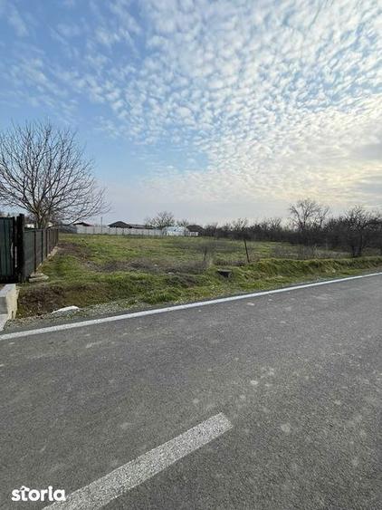 Teren intravilan comuna cuza voda sat calarasii vechi 1167 mp - 3