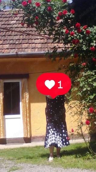 Vand casa urgent ! - 1