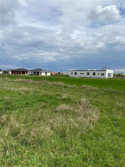 RECO Teren intravilan in  Cihei 500mp - 1