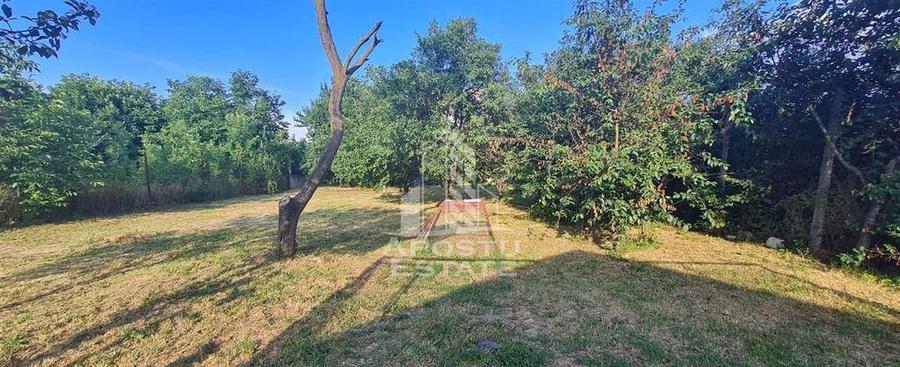 Casa cu teren de 2000 mp, Timisoara - 6