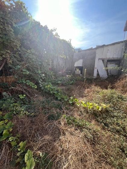 Teren Faleza Nord - 6