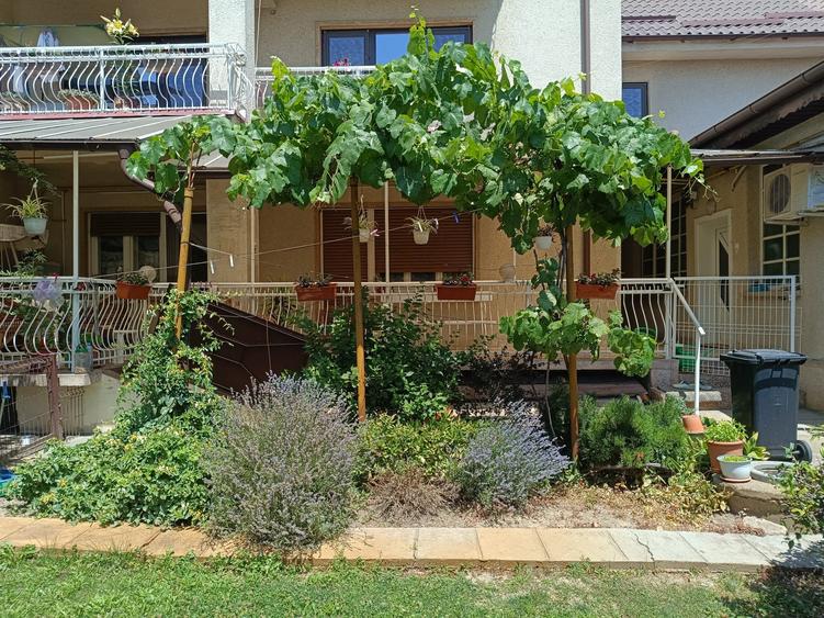 vila 450mp ELISABETIN - 4