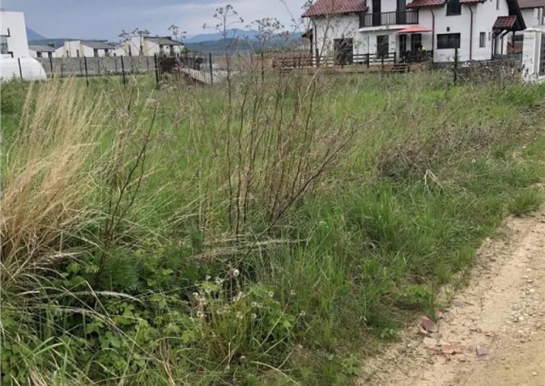 Teren intravilan Cristian 1000 mp - 3