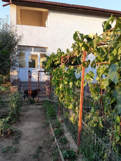 Vand vila p+1+pod - 4