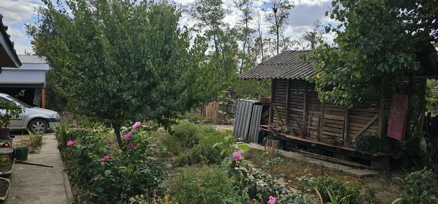 Vand casa un Ulmu jud Calarasi - 1