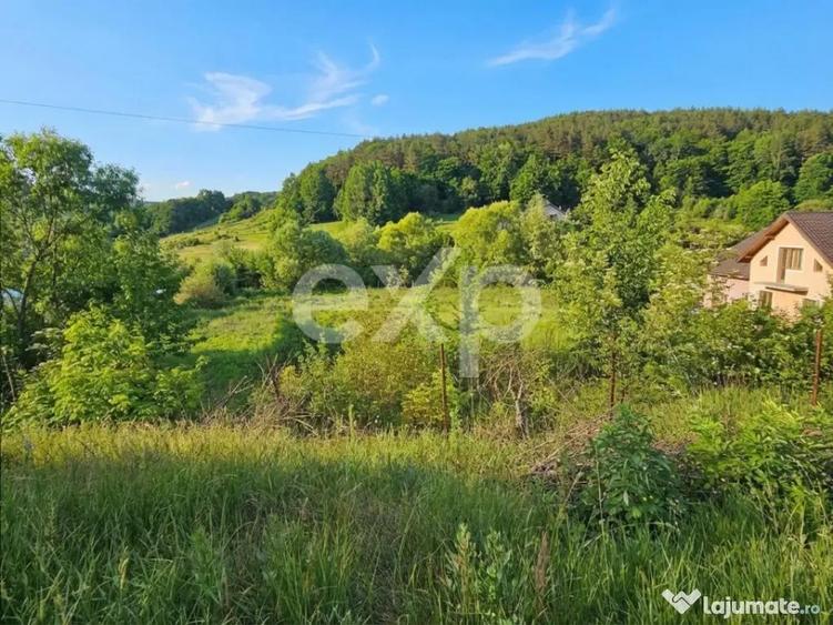 Teren 7,797mp Podis / Calea Moinesti - 4