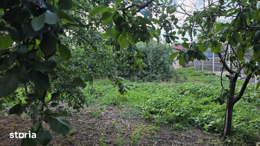 Casa cu poten?ial, 4 camere, langa padure-Jud Giurgiu-Mihai Bravu. - 2