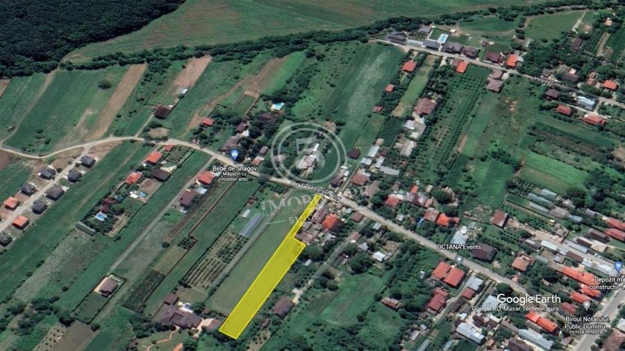 Snagov- Teren Intravilan de Vanzare - 9