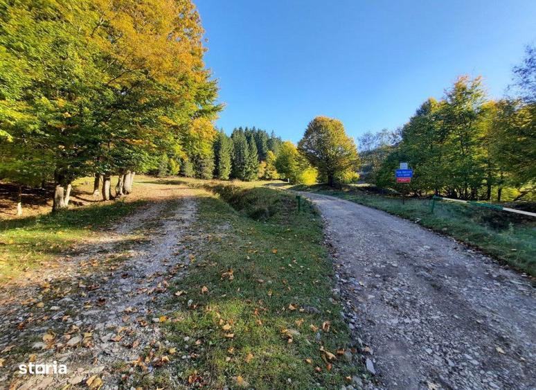 Teren extravilan , 7160 metri Cod:160785 - 5