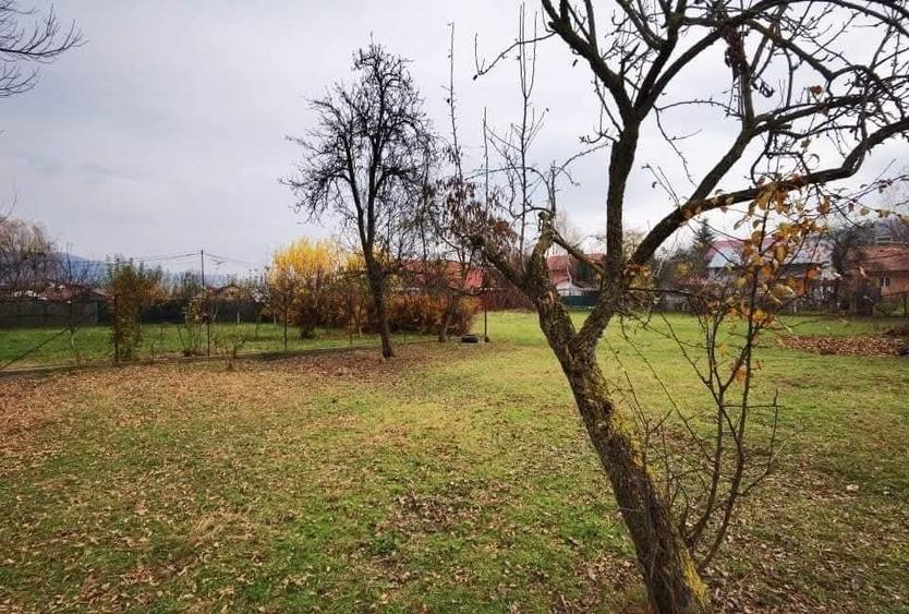 Ocazie rară / Teren central de 2100 mp pe Str. Victoriei, Breaza, Prahova - 10