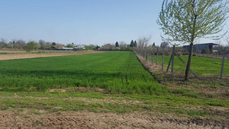 Vand casa la 30 km de Bucuresti - 7