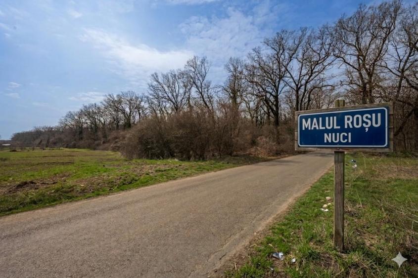 NUCI - BALTA NEAGRA, LOT 3080 MP, LA PADURE! - 2