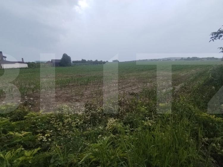 Teren extravilan, 15388mp, Oraseni Deal cu PUZ in lucru - 1