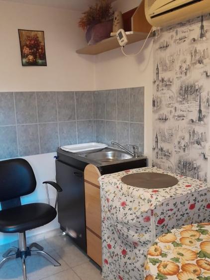 Faleza nord-casa 6 camere diverse activitati - 3