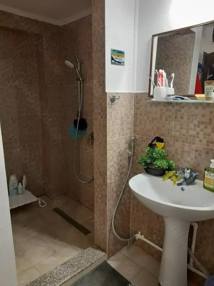 Casuta si curte in oras - 3