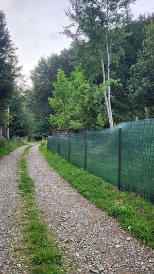 Complex rezidențial / turistic de vânzare în Cheia, Prahova - 2