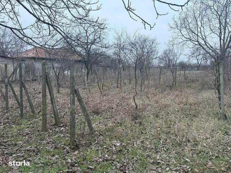 VAND teren intravilan MIZIL - 1