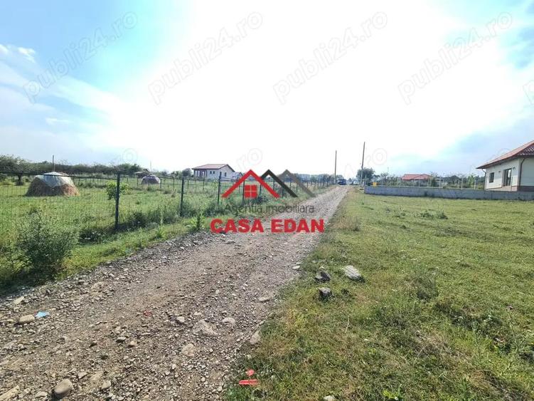 Teren intravilan in Campina, 7500mp--35e - 5