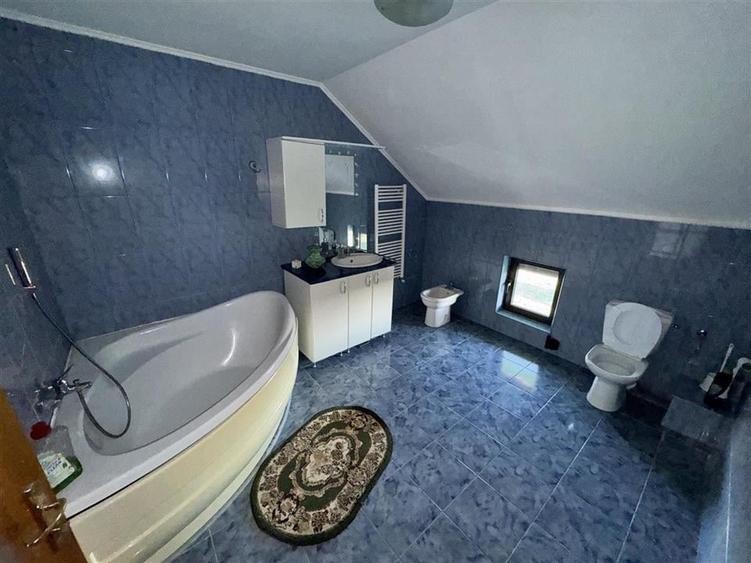 CASA DE VANZARE BOTARLAU ( com.Vulturu) - 19