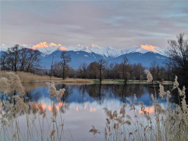 Casă cu 1100mp teren in satul Colun - la 40 km de Sibiu - 15