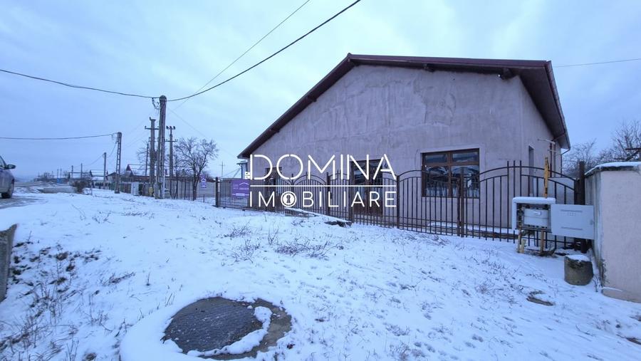 Inchiriere spatiu comercial/industrial, situat in comuna Balteni, sat Vladuleni - 9