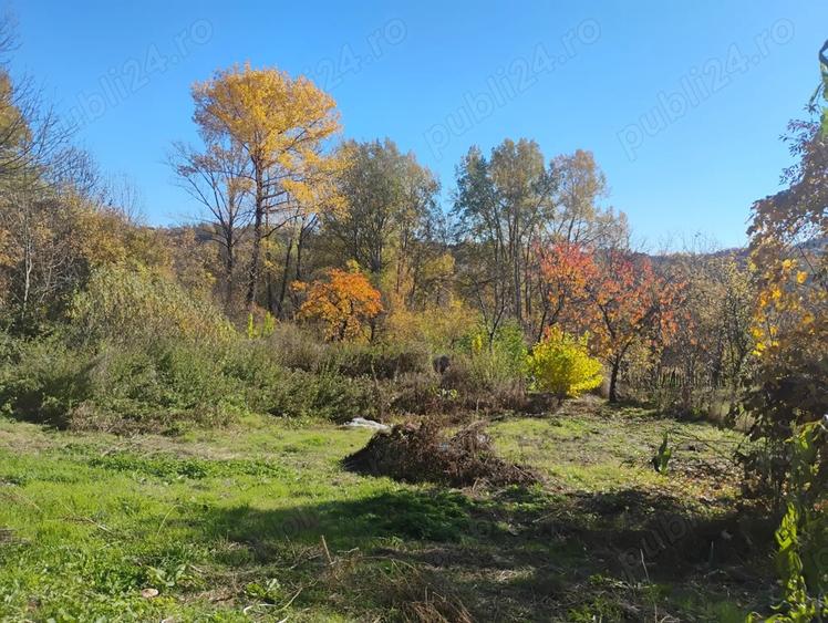 de vanzare doua case ,grajd si teren - 3