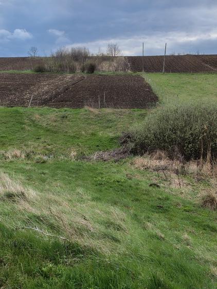 vand urgent 900 mp  teren intravilan 0758283588 - 1