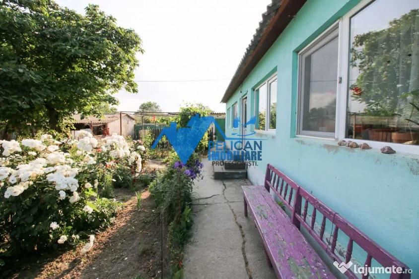 Casa cu teren in Salcioara (Jurilovca) - 2600mp - 15