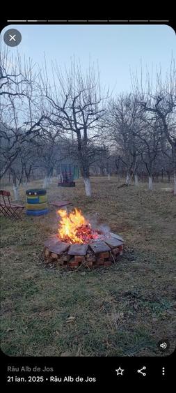 Casa cu mansardă și livada - 11