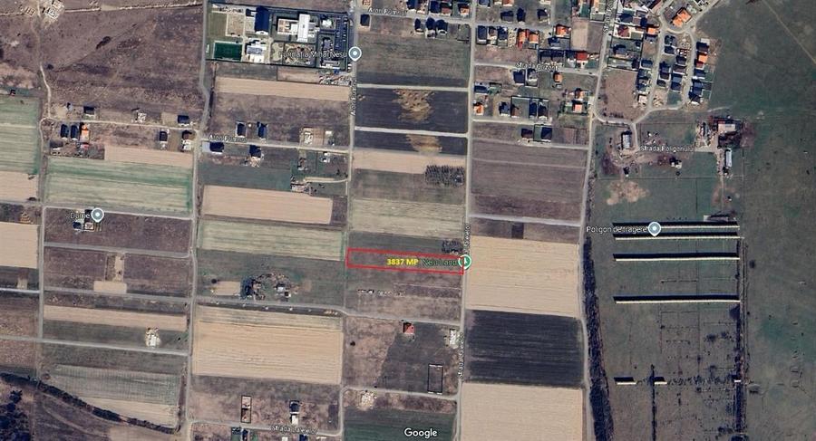 TEREN INTRAVILAN | 3837 mp | CIHEI | BIHOR - 6