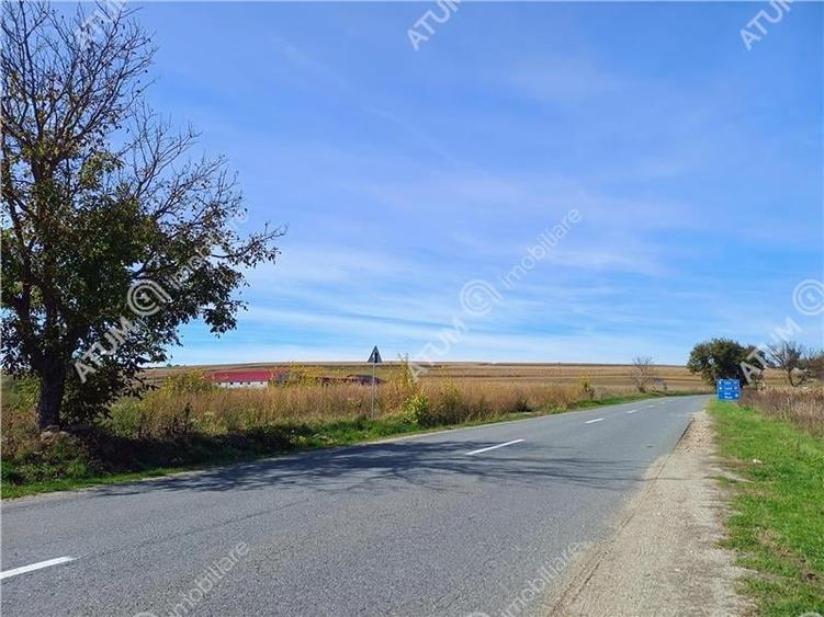 Teren pretabil investitie in Daia judet Sibiu - 12