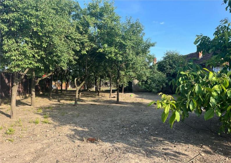 RECO Casa in Salard -teren 1439 mp - 14