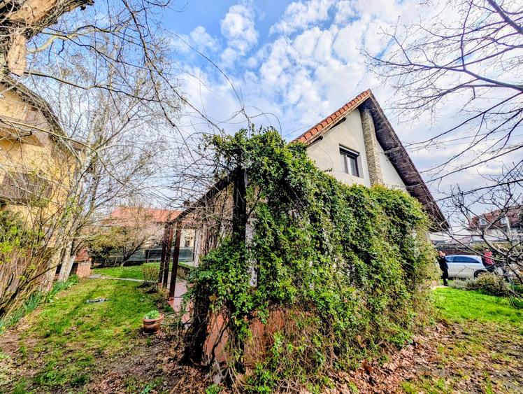 Martha Bibescu,rustic/cochet,4 dormitoare,living-semineu,mobilata,lux,Mogosoaia - 13
