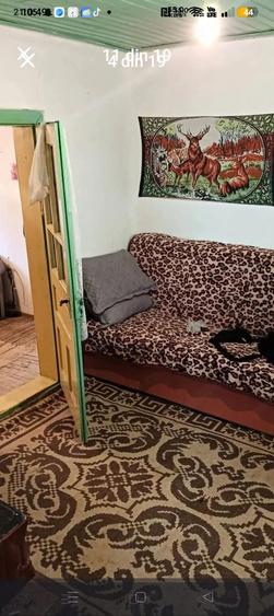 Casa batraneasca sat Co?atcu com Podgoria - 4