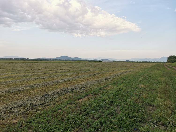 Teren agricol in zona Bod - 2