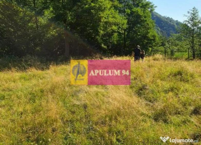 Teren Jude?ul Valcea - Brezoi, Valea lui Stan - 4